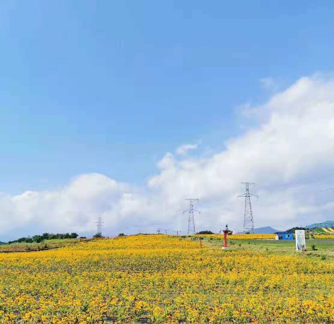 “五女山杯•相约桓仁全国旅游诗歌大赛”入围等级奖人员及篇目（三）