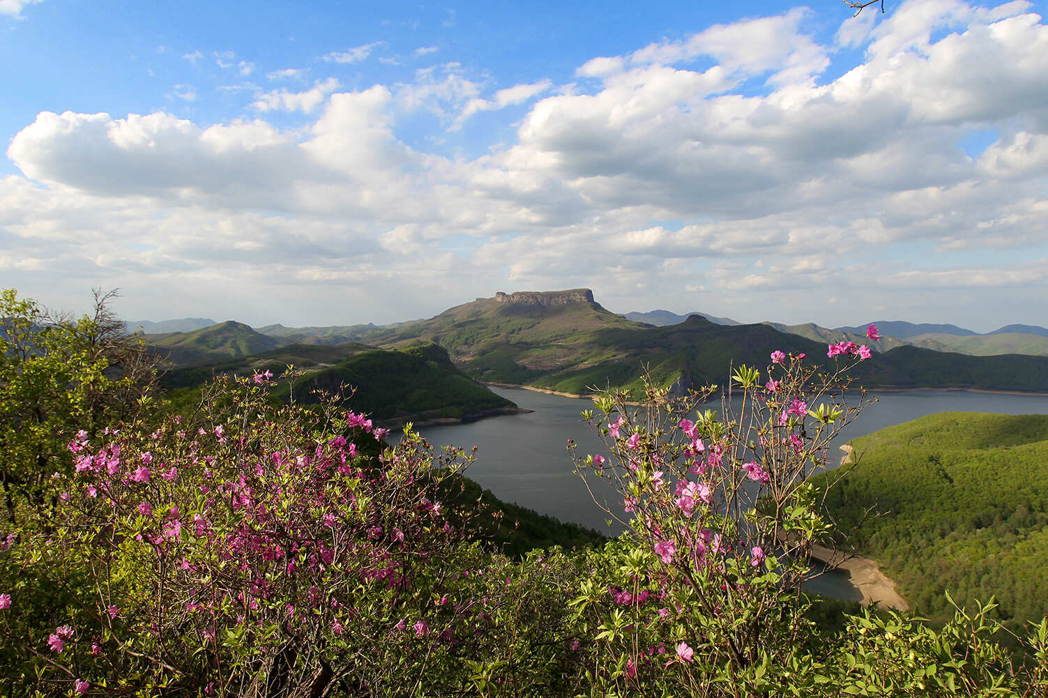 春季五女山